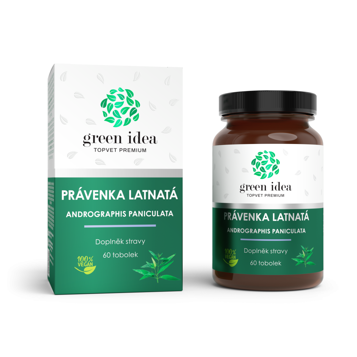 Právenka latnatá - tobolky