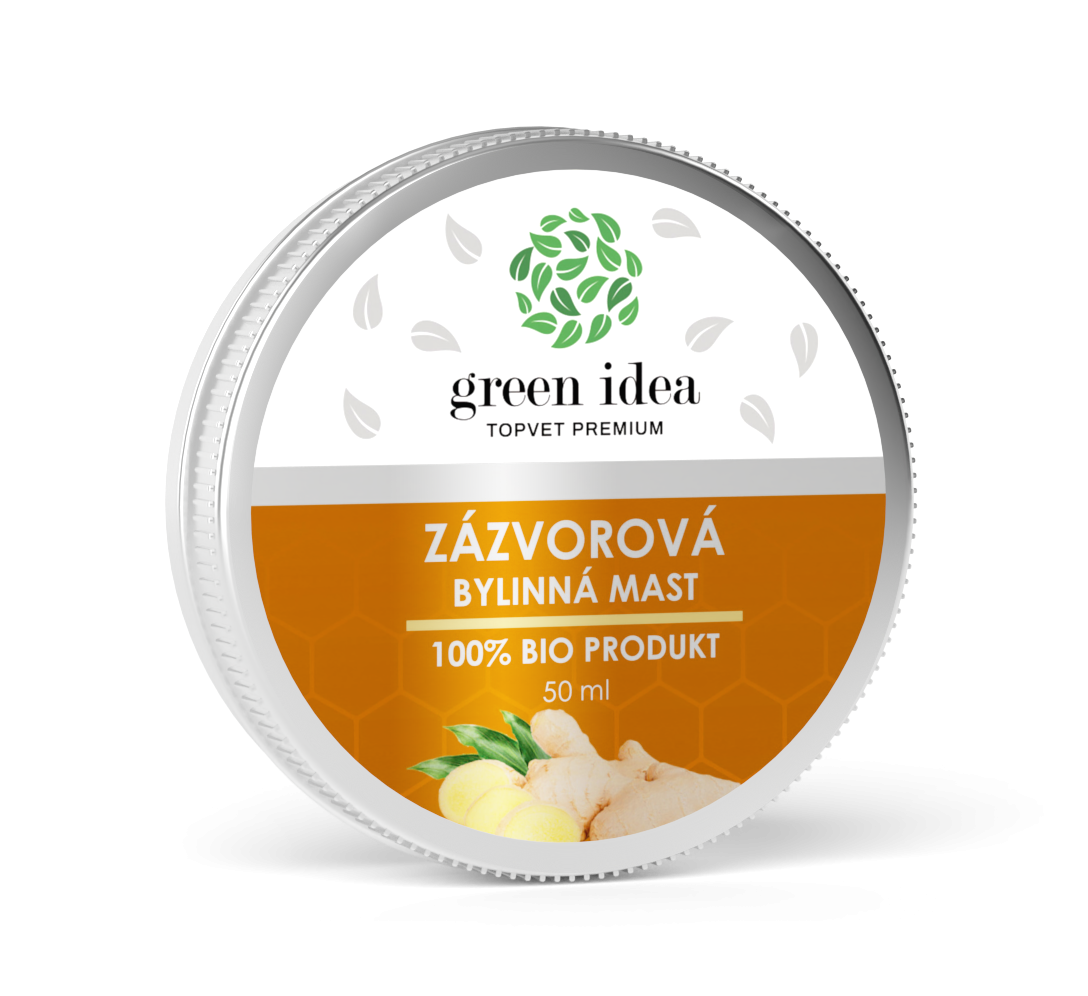 GREEN IDEA Zázvorová mast 50 ml