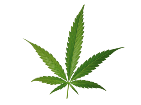 Konopná řada s vysokým podílem konopného oleje Konopná řada s vysokým podílem konopného oleje