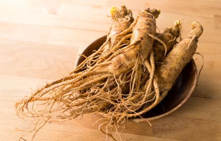 Ženšen pravý (Panax ginseng) Ženšen pravý (Panax ginseng)
