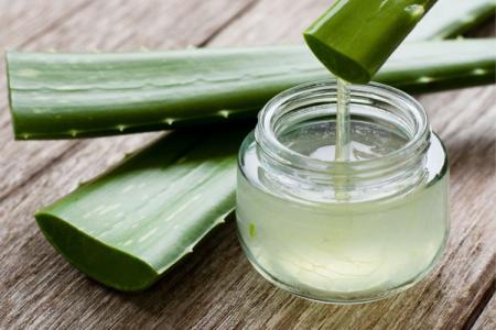 Aloe vera