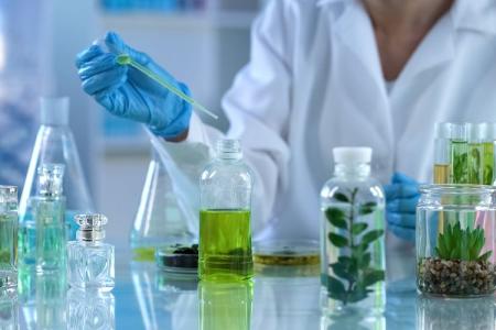 Účinné bylinné kapky. Macerace nebo standardizovaný extrakt? Účinné bylinné kapky. Macerace nebo standardizovaný extrakt?