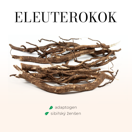 Eleuterokok