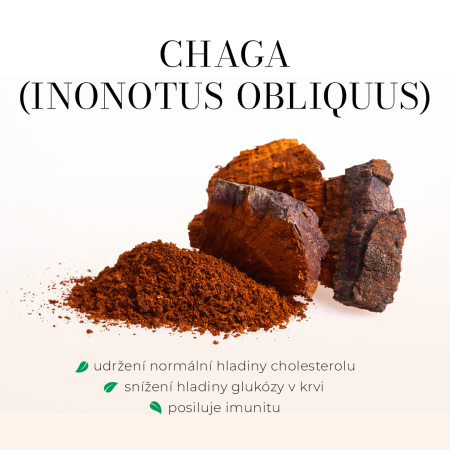 Chaga