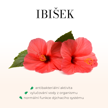 Ibišek