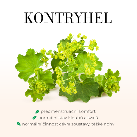 Kontryhel