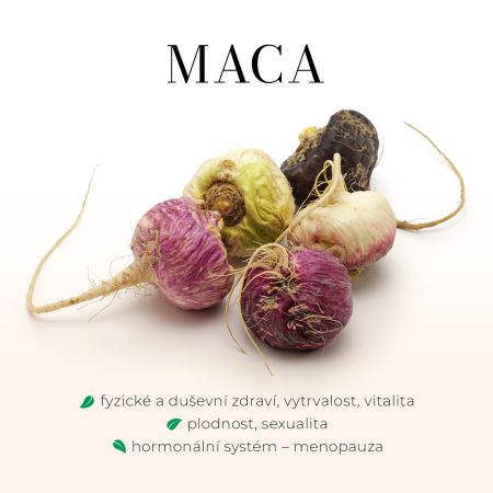 Maca