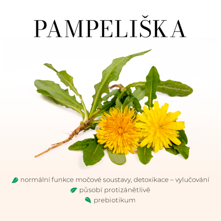 Pampeliška