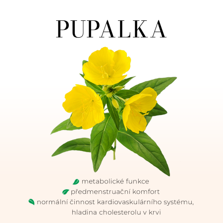 Pupalka