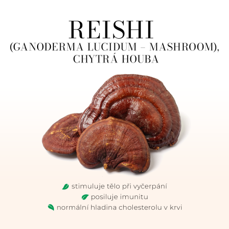 Reishi