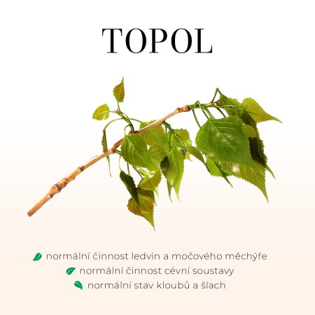 Topol