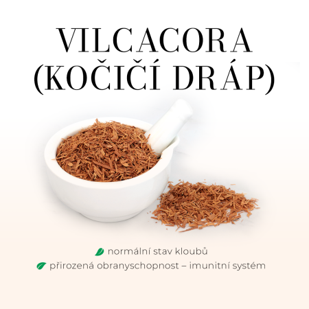 Vilcacora