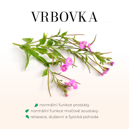 Vrbovka