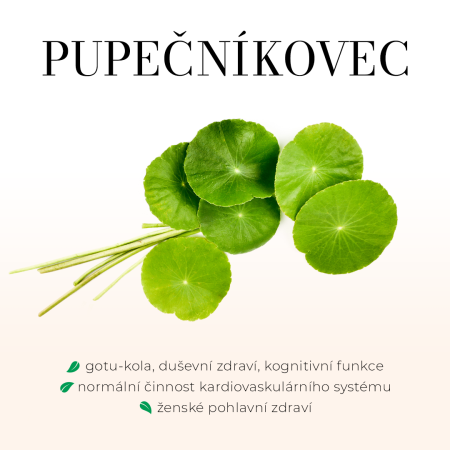 Pupečníkovec