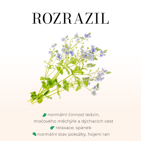 Rozrazil